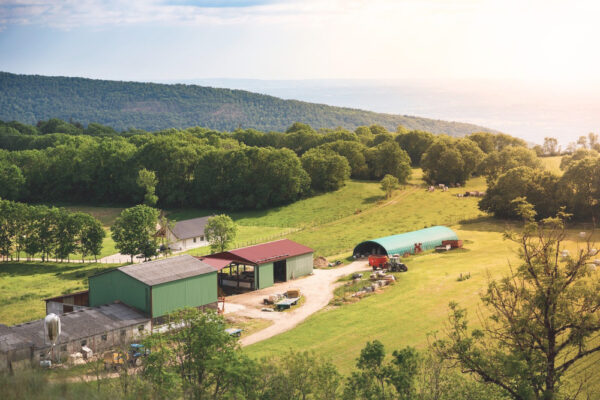 Grand Est : éxonération de TFNB,une aide à l’exploitant Grand Est : éxonération de TFNB,une aide à l’exploitant