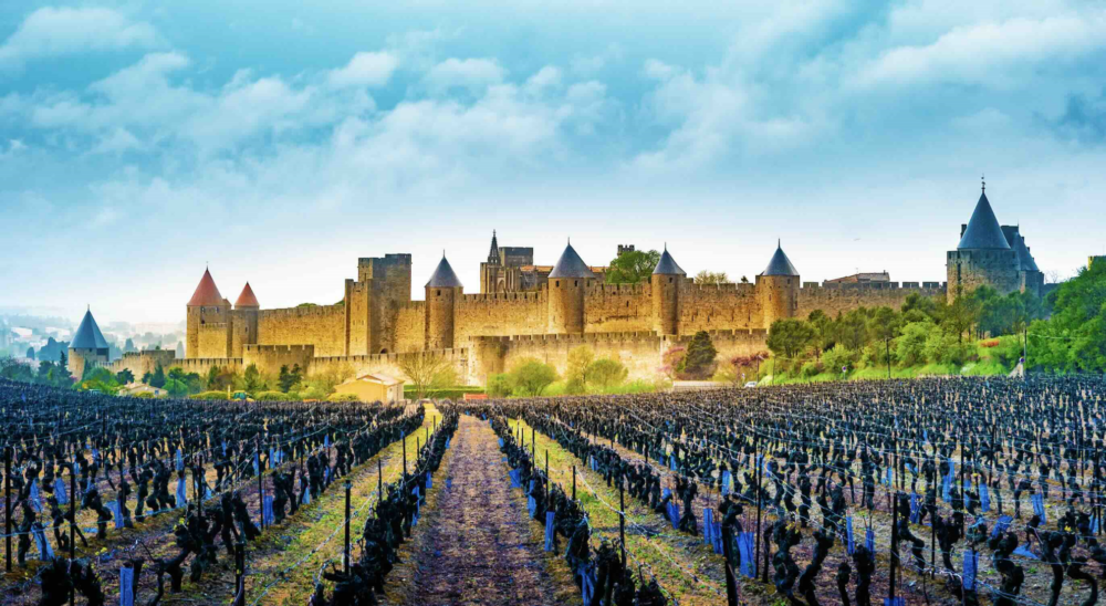 Reims La Marne Agricole