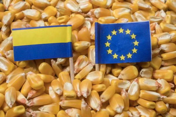 Les pays de l’Est resteront-ils les greniers à maïs de l’UE ? Les pays de l’Est resteront-ils les greniers à maïs de l’UE ?