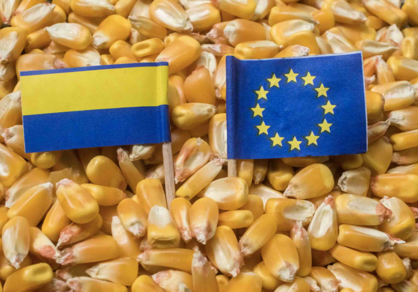Les pays de l’Est resteront-ils les greniers à maïs de l’UE ?