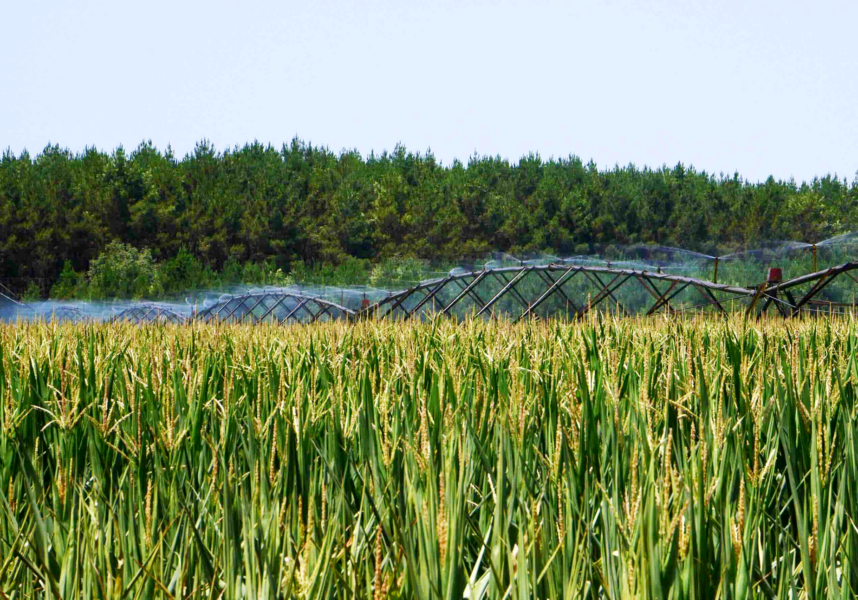 Irrigation : la bataille de l’eau est lancée Irrigation : la bataille de l’eau est lancée