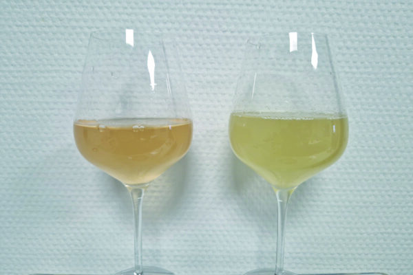 Reims : vins de Champagne 2025, une dégustation très prometteuse Reims : vins de Champagne 2025, une dégustation très prometteuse