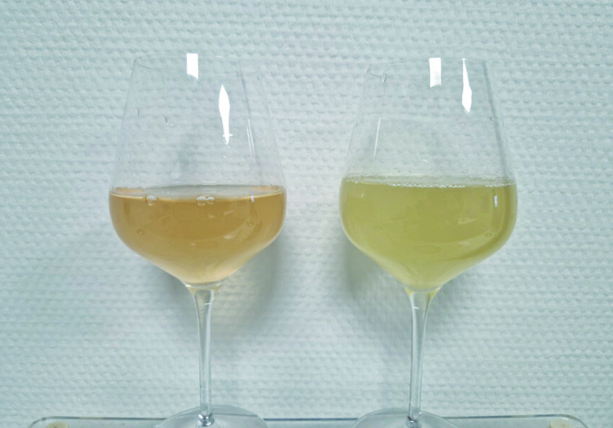 Reims : vins de Champagne 2025, une dégustation très prometteuse Reims : vins de Champagne 2025, une dégustation très prometteuse