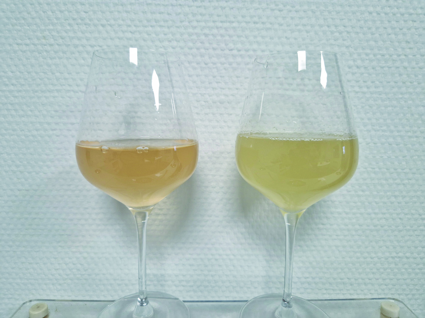 Reims La Marne Agricole Marne : vins de champagne 2025, une dégustation très prometteuse Issus d’une vendange peu complexe au niveau sanitaire et à certains endroits peu généreuse en raisins, les vins 2025 sont bons et semblent plutôt bien équilibrés. Mais nous ne sommes qu’en octobre…