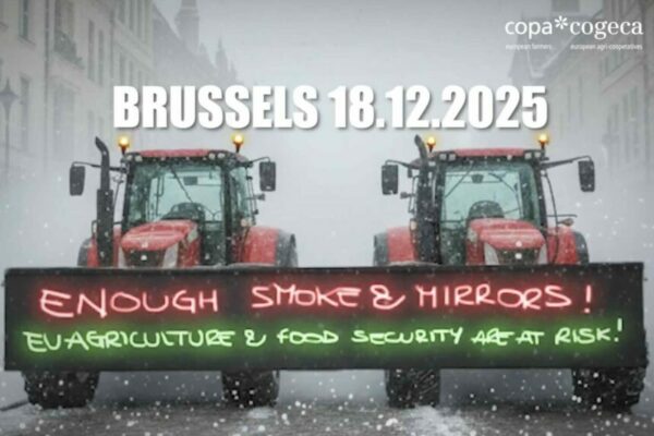 La colère agricole s’exprime à Bruxelles La colère agricole s’exprime à Bruxelles