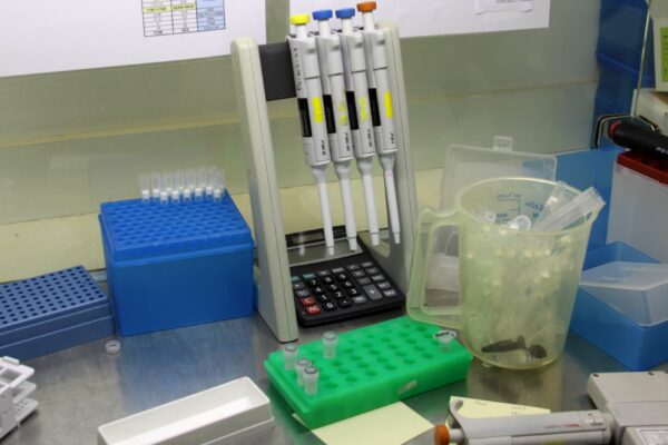 Les NGT validées par l’Europe Les NGT validées par l’Europe