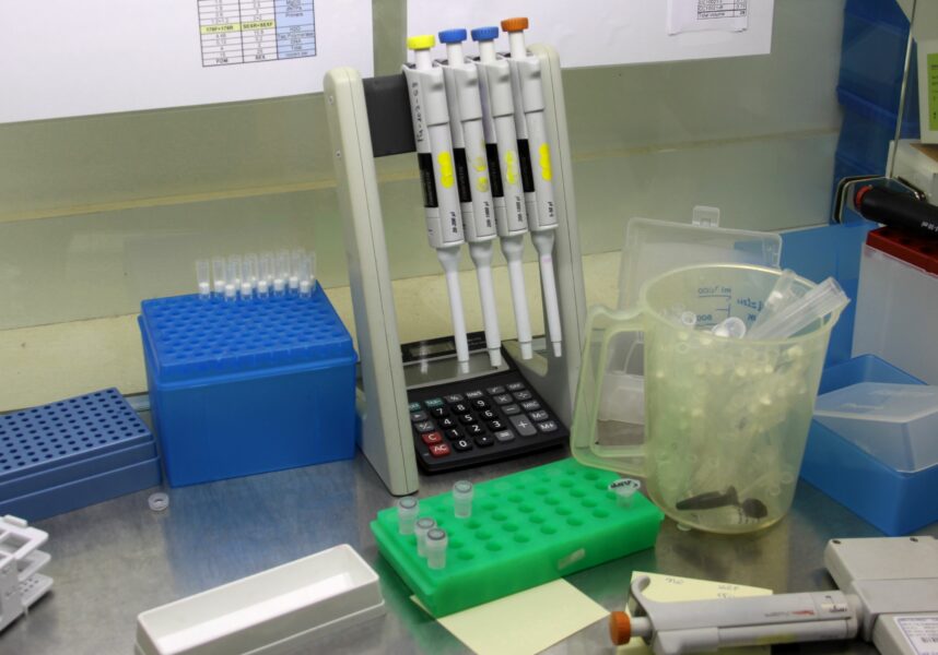 Les NGT validées par l’Europe Les NGT validées par l’Europe