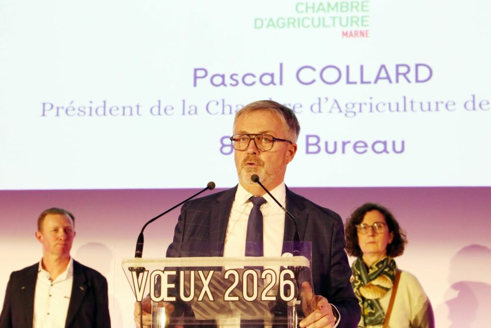 Reims La Marne Agricole Châlons : les vœux de l'agriculture La Chambre d'agriculture de la Marne, la Chambre de commerce et l’UCIA Foire de Châlons ont organisé un événement commun pour présenter leurs vœux le 6 janvier au Capitole à Châlons-en-Champagne.