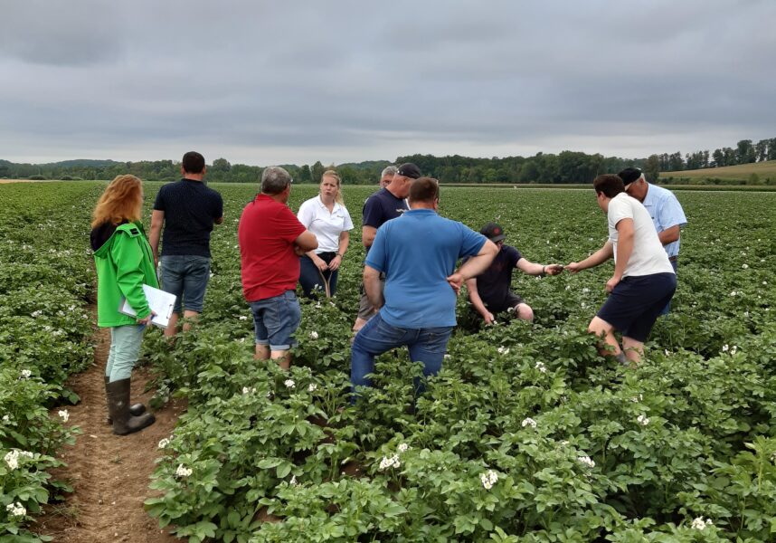 Châlons : pommes de terre, et si on optimisait la culture ? Châlons : pommes de terre, et si on optimisait la culture ?