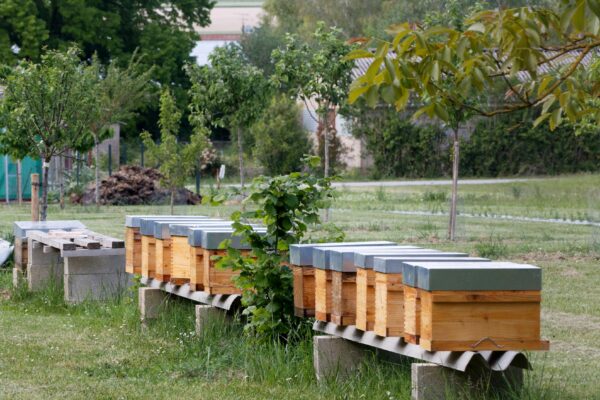 Assurance récolte : la réforme peine à convaincre
