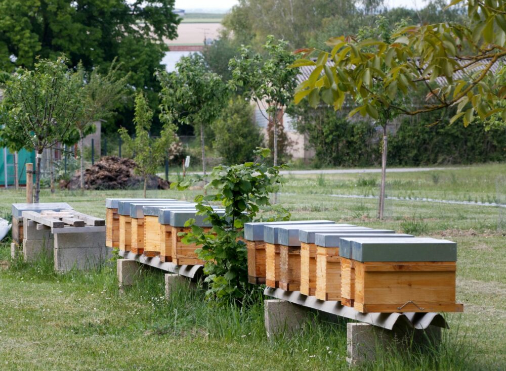 Reims La Marne Agricole Assurance récolte : la réforme peine à convaincre Trois ans après la mise en œuvre de la réforme de l’assurance récolte, le taux de couverture des exploitations agricoles demeure insuffisant et très contrasté selon les filières, dans un contexte de multiplication des aléas climatiques, constate la commission des affaires économiques de l’Assemblée nationale, réunie le 8 janvier.