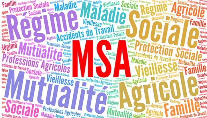 Reims La Marne Agricole Assiette sociale : ce qui change pour les exploitants agricoles À compter du 1er janvier 2026, l'assiette des cotisations sociales des exploitants agricoles va changer. Les cotisations sociales et les contributions sociales seront calculées sur une assiette unifiée.