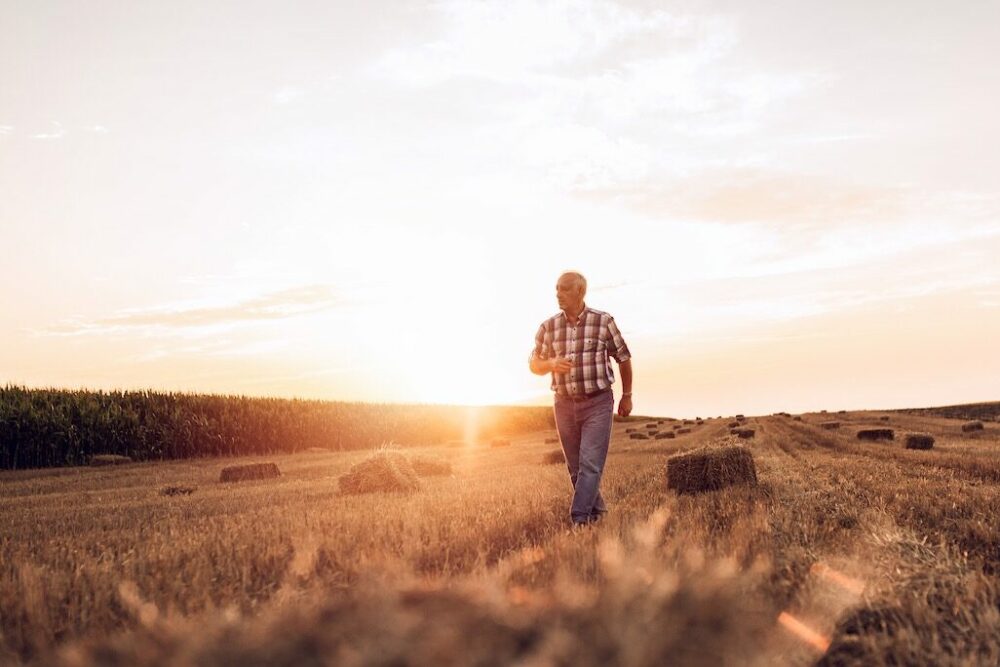 Reims La Marne Agricole Retraites agricoles : les décrets des 25 meilleures années publiées au JO C’est à la toute dernière minute ou presque que les décrets d’application sur la réforme des retraites agricoles validant le calcul sur les 25 meilleures années ont été publiés.