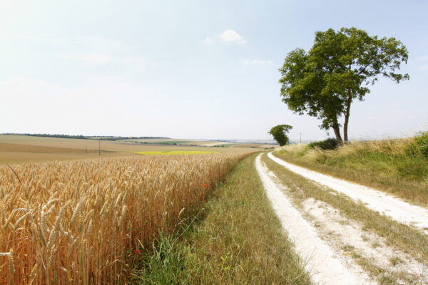 Châlons : l’association foncière de remembrement acteur incontournable pour garantir de bonnes circulations agricoles