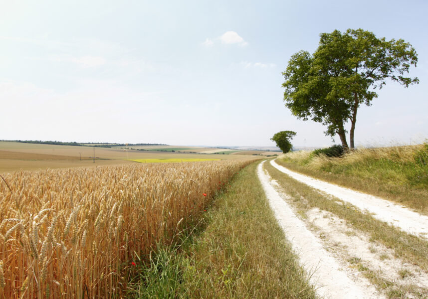 Châlons : l’association foncière de remembrement acteur incontournable pour garantir de bonnes circulations agricoles