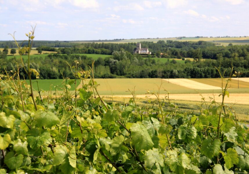 Bail rural de 9 ans, quelles dispositions ?