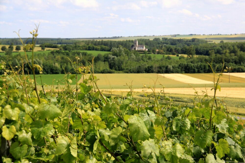 Reims La Marne Agricole Juridique Parmi les contrats soumis au statut du fermage, le bail à ferme de 9 ans est le plus usité. Contenant des dispositions d’ordre public, ses conditions d’exécution s’imposent aux parties signataires. Bail rural de 9 ans, quelles dispositions ?
