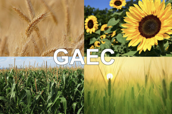 Gaec et pluriactivité des associés Gaec et pluriactivité des associés