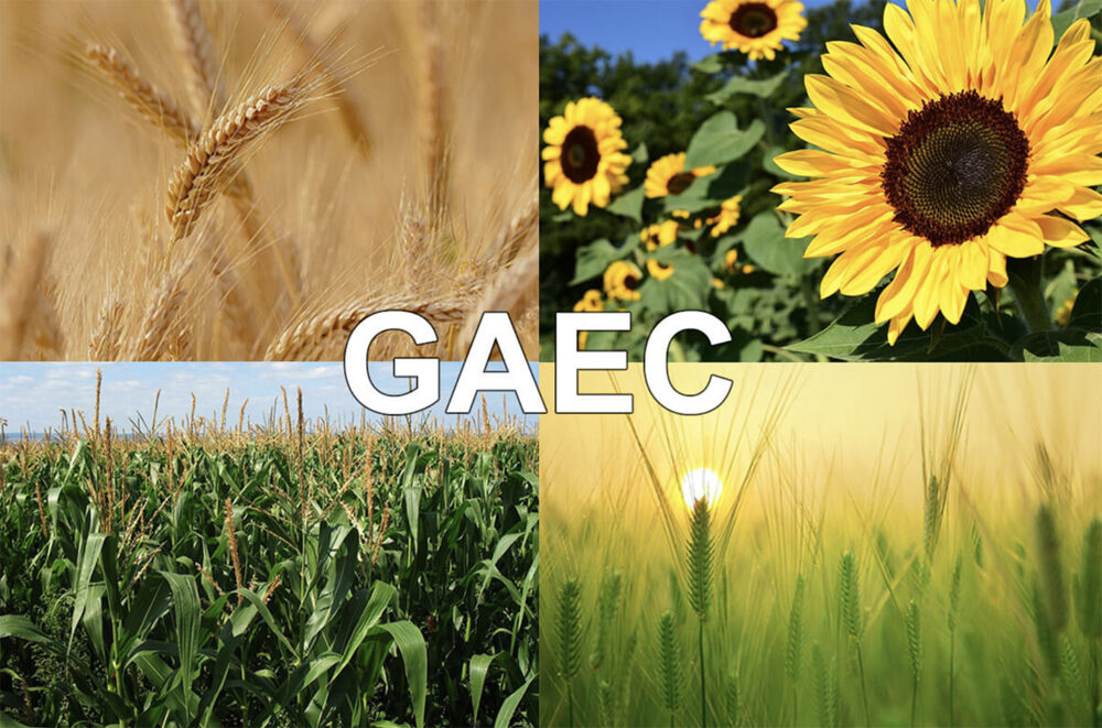 Reims La Marne Agricole Gaec et pluriactivité des associés La pluriactivité des associés dans un Gaec est autorisée, mais très encadrée, parce que le Gaec repose sur le principe clé de la participation personnelle, permanente et effective de chaque associé à l'exploitation.