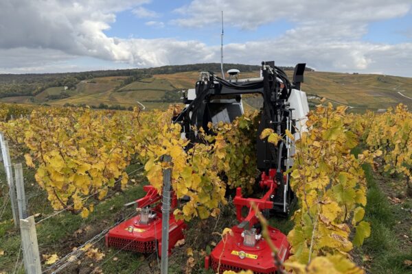 Marne : Yanmar annonce deux nouveautés majeures pour son robot YV01