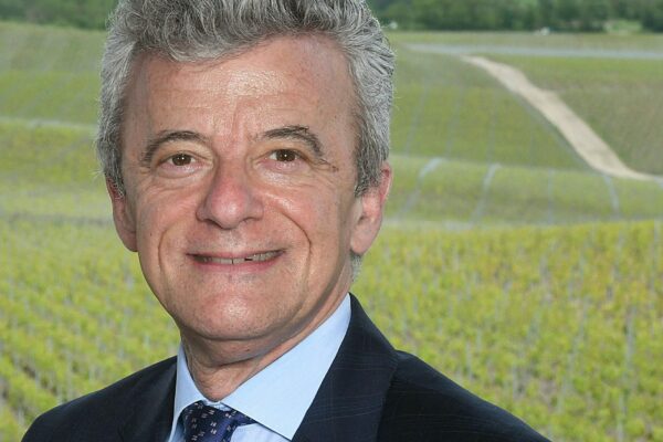 Chouilly : TEVC stabilise ses ventes 2025 dans un marché baissier