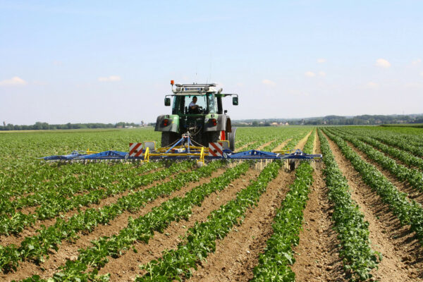 Châlons : « l’architecture du désherbage va évoluer » Châlons : « l’architecture du désherbage va évoluer »