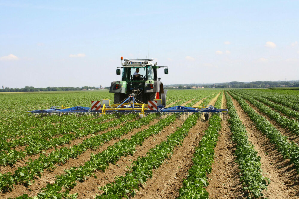 Reims La Marne Agricole « L’architecture du désherbage va évoluer », La plupart des matières actives homologuées aujourd’hui en désherbage sont condamnées à moyen terme. À l’image du retrait de la métribuzine, très pratique en rattrapage. Tel est le constat dressé par Arthur Adamczyk, conseiller légumes à la Chambre d’agriculture de la Marne.