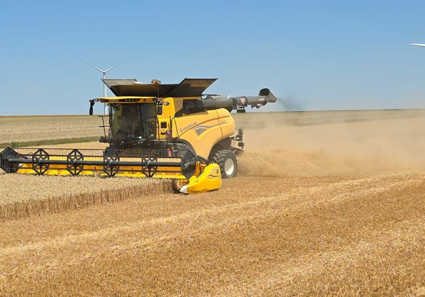 Céréales : de bons réglages pour préserver la qualité des grains Céréales : de bons réglages pour préserver la qualité des grains