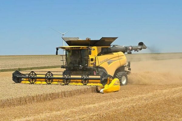 Céréales : de bons réglages pour préserver la qualité des grains