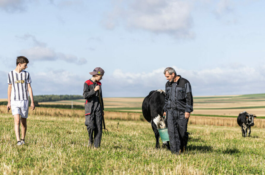 Reims La Marne Agricole Châlons : la transmission d’une exploitation : un accompagnement humain avant tout En France, la transmission des exploitations agricoles s’inscrit dans un contexte de fort vieillissement de la population agricole et de diminution rapide du nombre de fermes.
