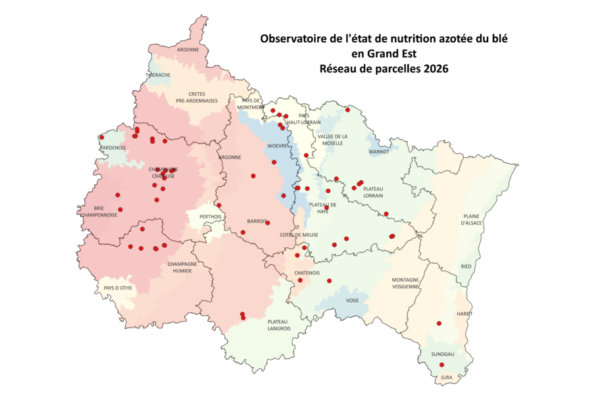 Observatoire de la fertilisation azotée du blé en Grand Est Observatoire de la fertilisation azotée du blé en Grand Est