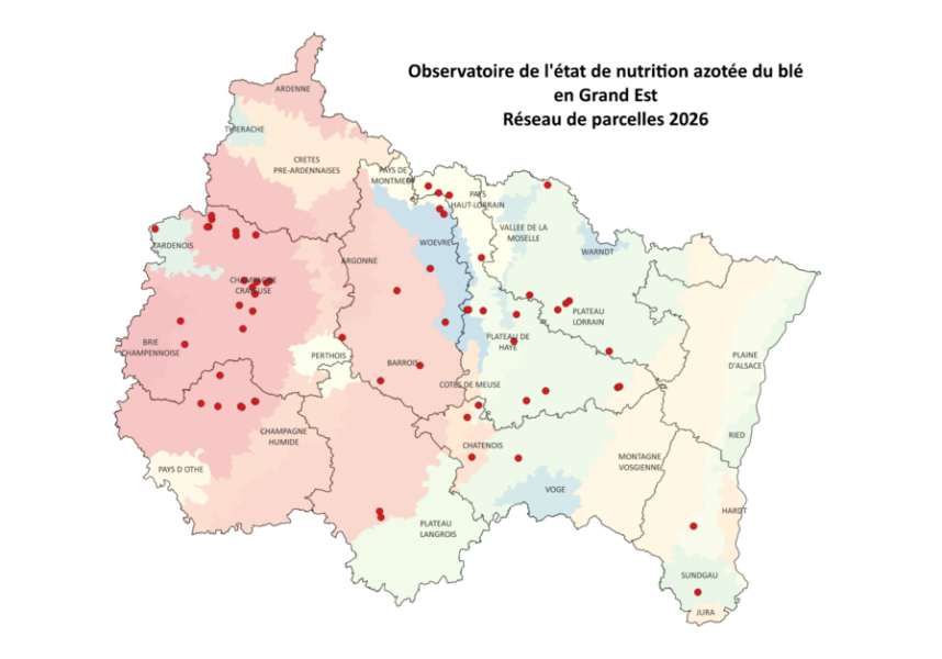 Observatoire de la fertilisation azotée du blé en Grand Est Observatoire de la fertilisation azotée du blé en Grand Est