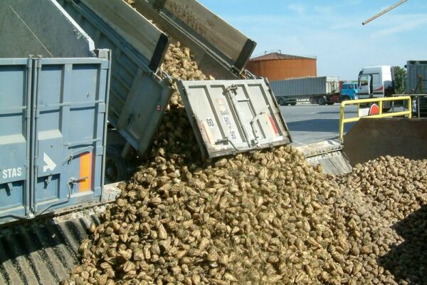 Chambre d’agriculture Grand Est : contre l’écocontribution poids lourds Chambre d’agriculture Grand Est : contre l’écocontribution poids lourds