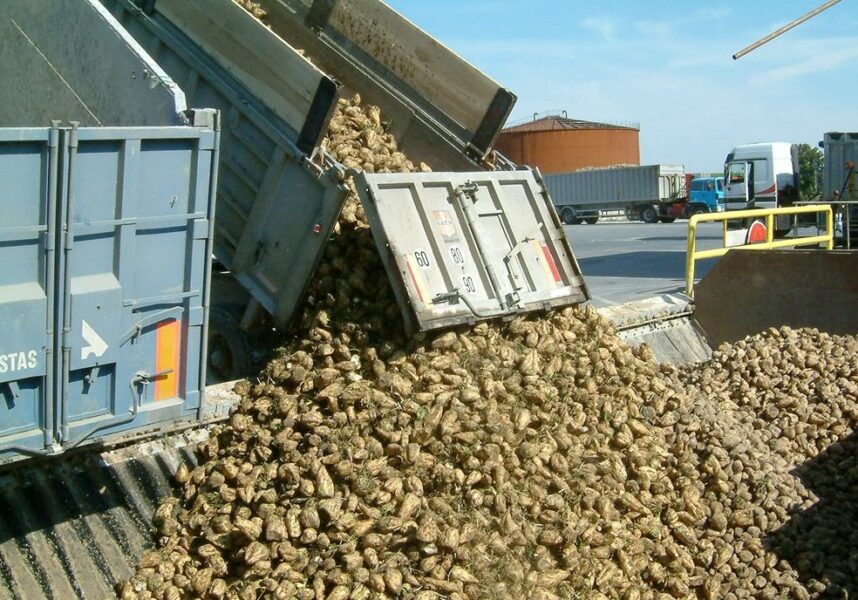Chambre d’agriculture Grand Est : contre l’écocontribution poids lourds Chambre d’agriculture Grand Est : contre l’écocontribution poids lourds