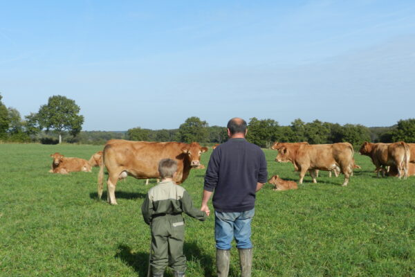 Châlons : France Services Agriculture, le nouveau guichet unique de la Loi d’orientation agricole