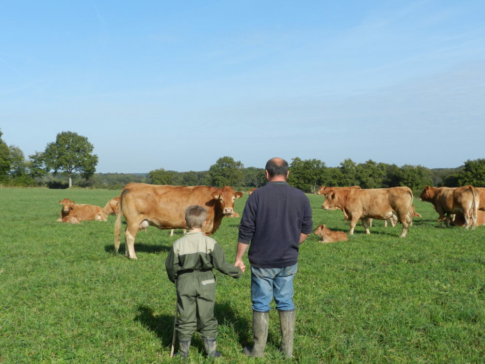 Reims La Marne Agricole Châlons : France Services Agriculture, le nouveau guichet unique de la Loi d'orientation agricole La Marne, un des départements test sur la transmission à la recherche de candidats ! « France Services Agriculture » (FSA) est le nouveau dispositif à venir pour l’Agriculture, issu de la Loi pour la souveraineté alimentaire et le renouvellement des générations agricoles, promulguée le 24 mars 2025.