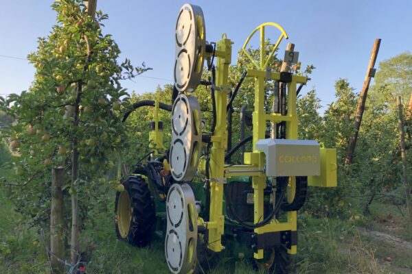 Bouzy : effeuiller avec efficacité Bouzy : effeuiller avec efficacité