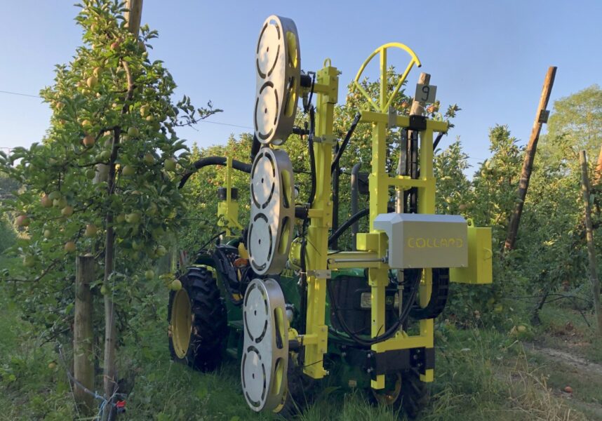 Bouzy : effeuiller avec efficacité