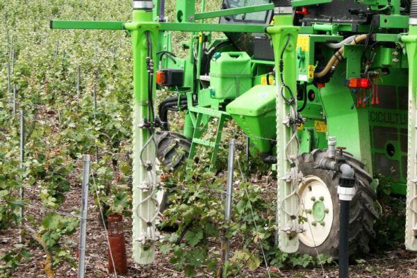 Marne : Phyteis, “trouver un cadre réglementaire cohérent” Marne : Phyteis, “trouver un cadre réglementaire cohérent”