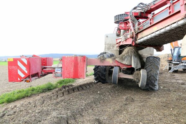 Marne : la gestion des cordons de déterrage de betterave pour lutter contre la jaunisse