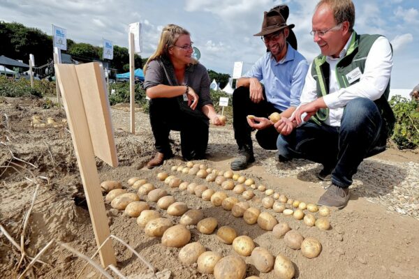 PotatoEurope 2026 : systèmes de ventilation pour le stockage des pommes de terre