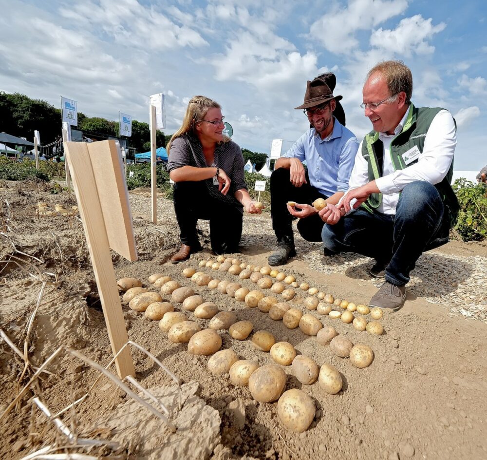 Reims La Marne Agricole PotatoEurope 2026 : systèmes de ventilation pour le stockage des pommes de terre Face à l'augmentation des capacités de stockage dans les régions productrices de pommes de terre, motivée par des exigences de qualité constantes et soutenue par une évolution favorable des prix durant la saison de vente, la gestion professionnelle des installations modernes de stockage de pommes de terre revêt une importance croissante. Ce sujet sera abordé lors du salon PotatoEurope 2026, qui se tiendra les 9 et 10 septembre à Springe, près de Hanovre, en Allemagne.