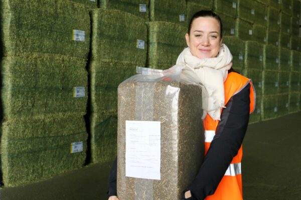 Marne : la luzerne déshydratée prépare le futur