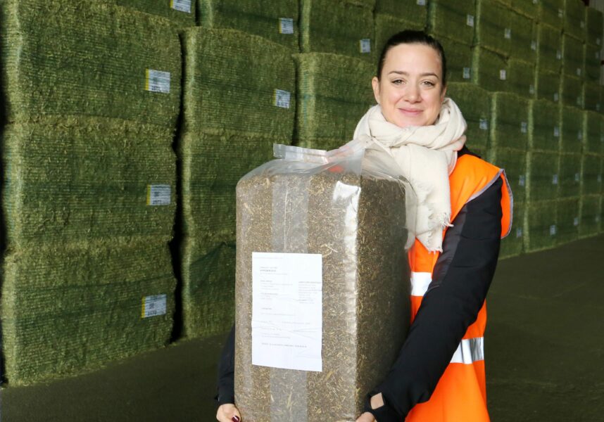 Marne : la luzerne déshydratée prépare le futur