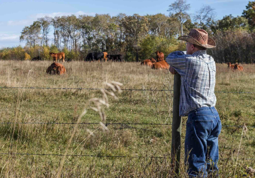 L’agriculture américaine à la peine L’agriculture américaine à la peine