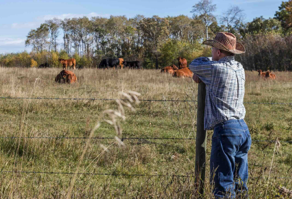 Reims La Marne Agricole L’agriculture américaine à la peine Depuis l’arrivée de Donald Trump à la présidence des États-Unis, le secteur agricole local traverse une crise d’une intensité rare, marquée par une explosion des coûts de production et une chute des rendements financiers. Ce qui n’était qu'une érosion de la rentabilité s’est transformé, pour de nombreuses exploitations, en une véritable lutte pour la survie. La guerre Iran-États-Unis obère un peu plus leur avenir.