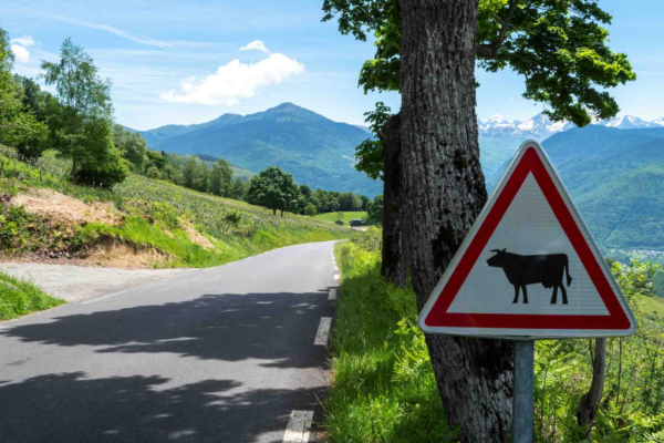 Conflits de voisinage : privilégier le dialogue