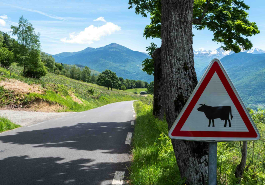 Conflits de voisinage : privilégier le dialogue