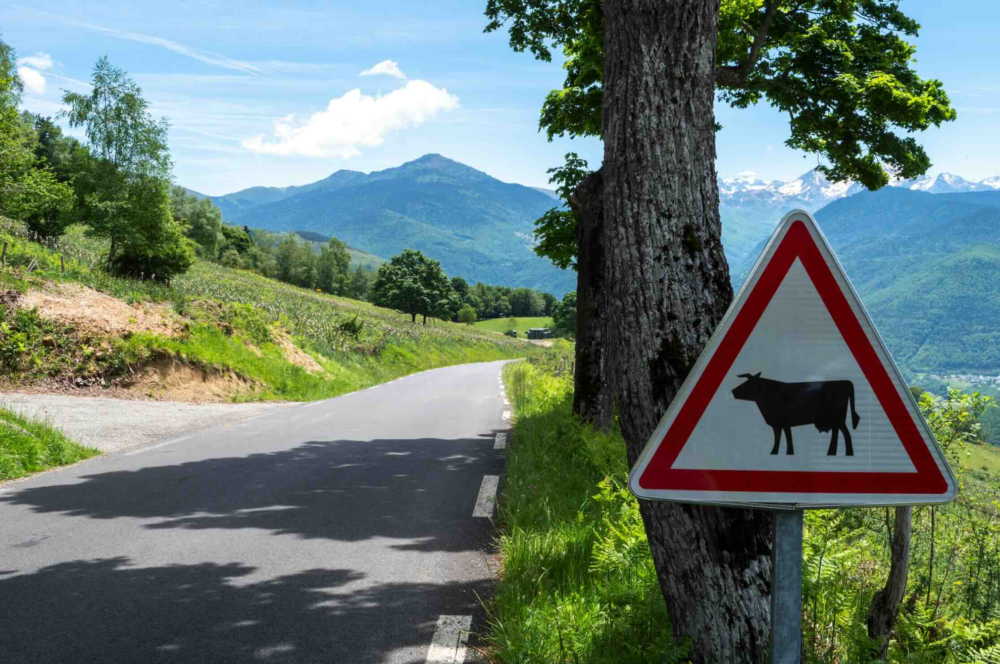 Reims La Marne Agricole Conflits de voisinage : privilégier le dialogue Le cercle de réflexion Agridées a récemment organisé à Paris, les 23e Rencontres de droit rural, sur le thème « L'agriculture et les voisins : produire dans un espace partagé ». De l’avis des intervenants, anticiper et dialoguer restent des atouts précieux pour éviter trop de recours juridiques.