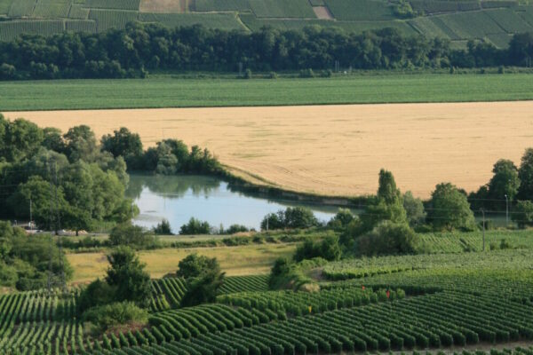 Le bail à clauses environnementales